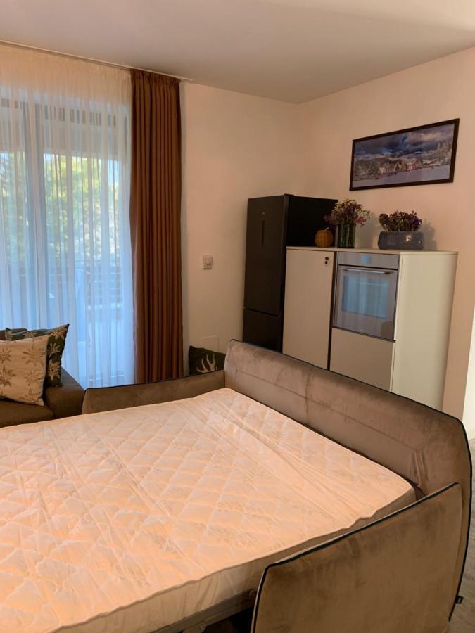 Edelweiss Apartments Silver Resort Poiana Brasov Buitenkant foto